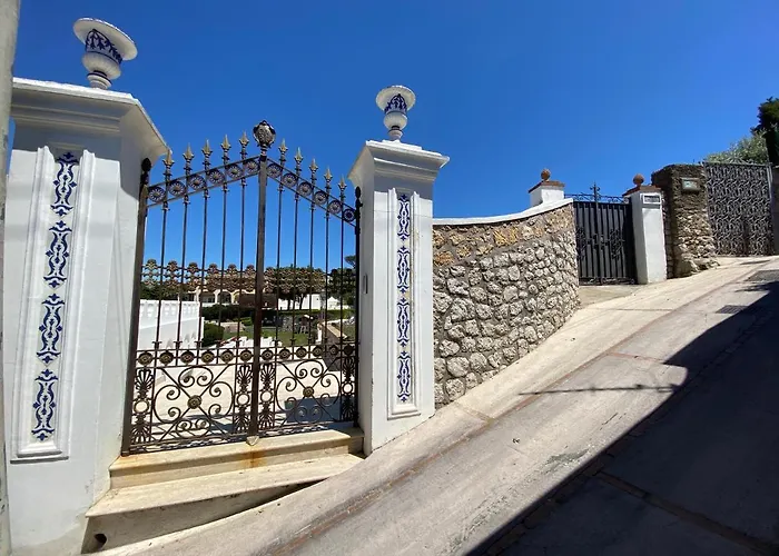 Raffaella Βίλα *